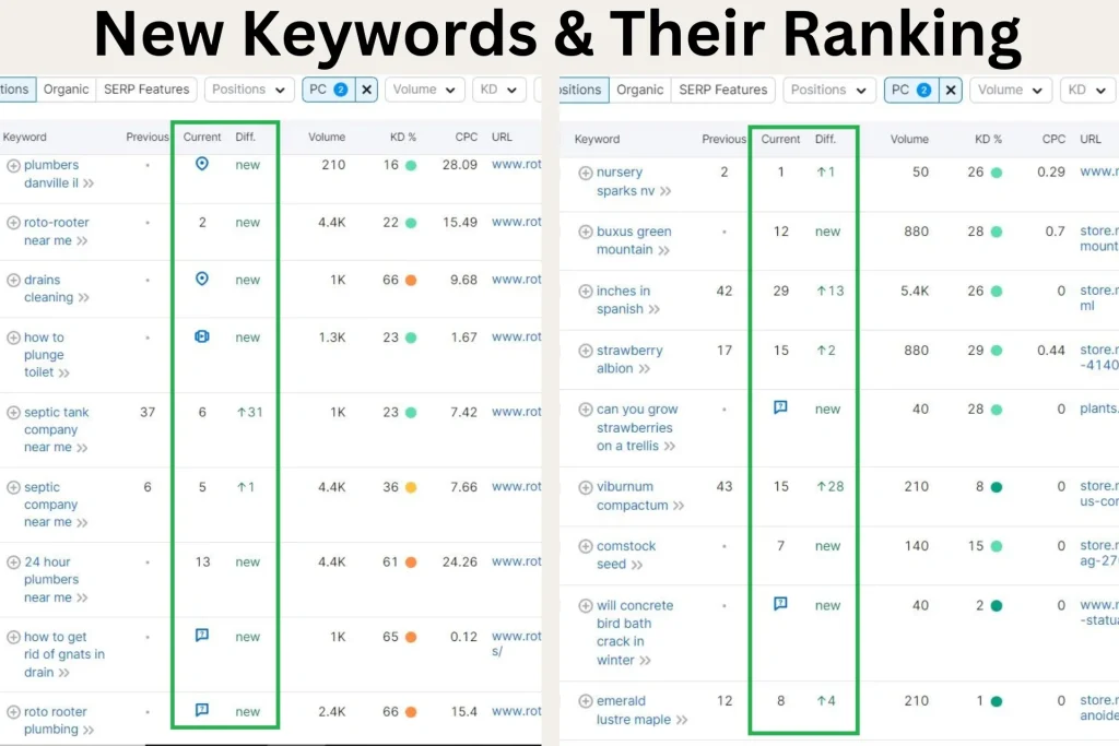 New keywords and ranking improved keywords highliting the improved SERP position