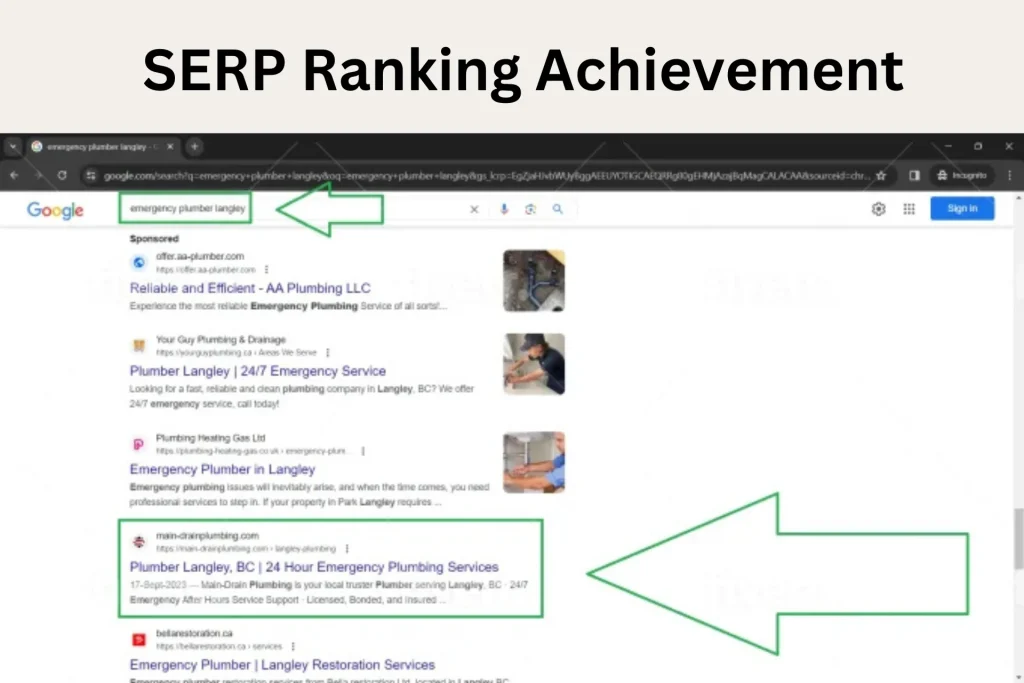 SERP showing our ranked website