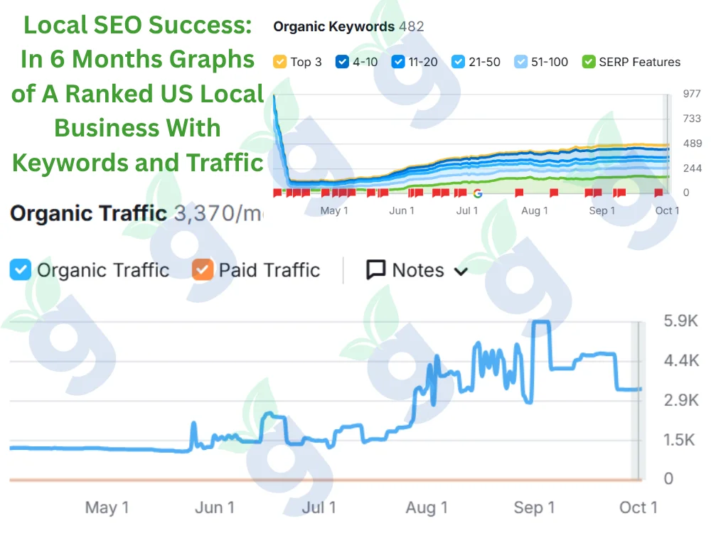 SEO success graphs showing a US local business ranking improvement with keyword gains and increased traffic in 6 months.