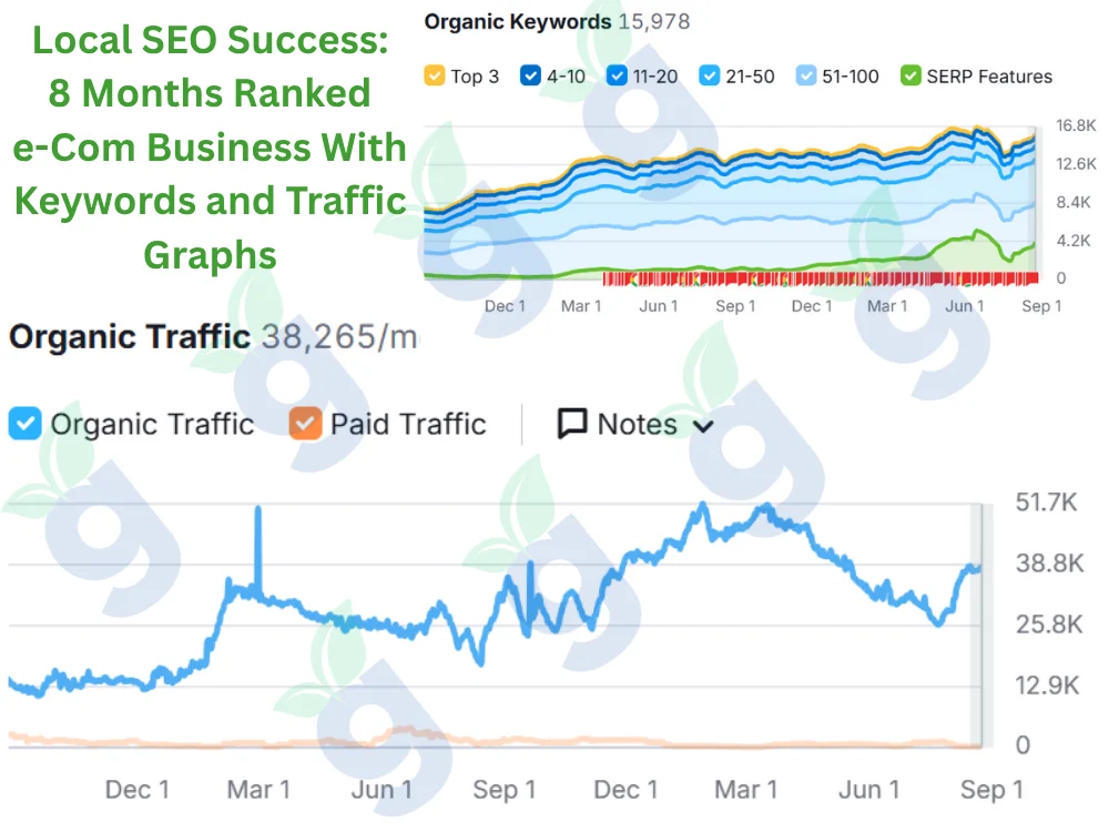 E-commerce business SEO growth in 8 months showing higher rankings, keyword improvements, and traffic graphs.