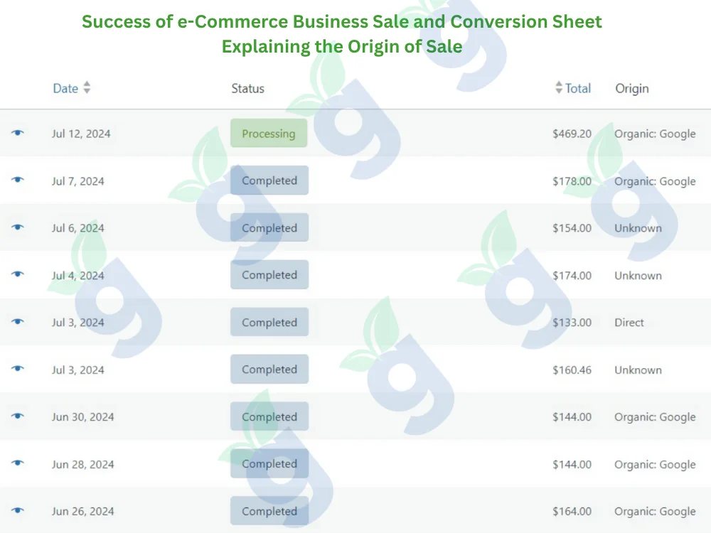 e-commerce business success sheet showing conversion tracking, sales growth, and origin of customer purchases.